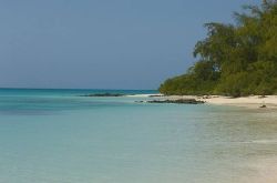 Quirimbas Archipelago Honeymoon - Vamizi Island Holiday Package