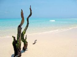 Quirimbas Archipelago Honeymoon Offers