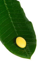 Where to buy viagra connect online or near me?