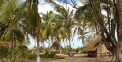 Beira Self Catering - Rio Savane