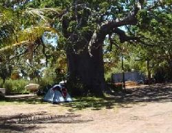 Vilanculos Self Catering - Baobab Beach