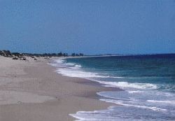 Mozambique Self Catering - Tan N Biki