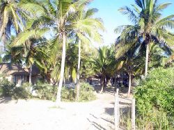 Inhambane Family Holiday - Palm Grove Holiday Package