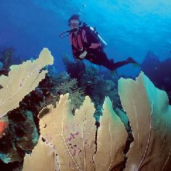 Mozambique Tours - Londo Lodge - Pemba - Day Tour
