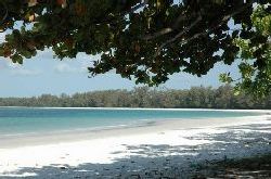 Pemba Tours - Pemba Nacole Gardens Guided Walk