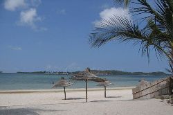 Special Deals - Tenda Tora Lodge