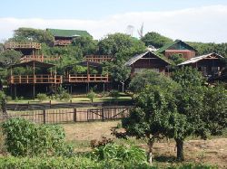 Special Deals - Coconut View