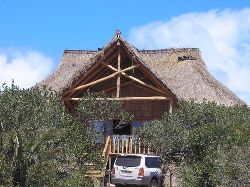 Inhambane Self Catering - Paradise Palms