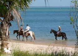 Mozambique Tours - 8 Day Mozambique Horse Safari