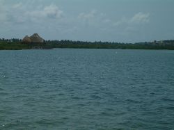 Special Deals - Campbells Bay