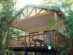 Special Deals - Self Catering Forest Chalet