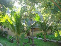 Tofo Accommodation - Willem Tofo Houses