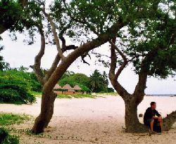 Inhaca Island Self Catering - Inhacazul Lodge