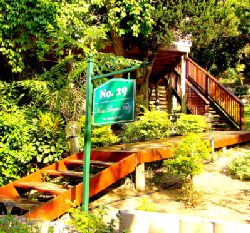 Mozambique Guesthouse - Campismo Ninho 29