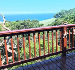 Special Deals - Campismo Ninho 41