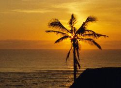 Inhambane Self Catering - Paindane Beach Resort