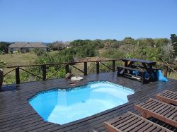Special Deals - Baleia Azul 15