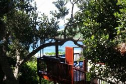 Mozambique House Offers