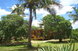 Tofo Dive Resorts Offers