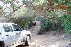 Mozambique Spa Offers